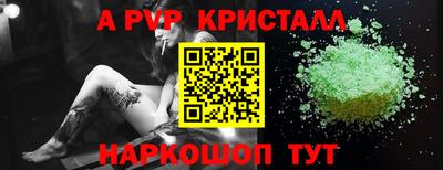 прущие крисы Малгобек